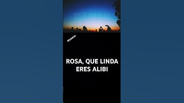Thumbnail of ROSA, QUE LINDA ERES ALIBI #song #musica #lyrics