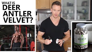 Deer Antler Velvet (DAV) for Bodybuilding -  Rob Riches