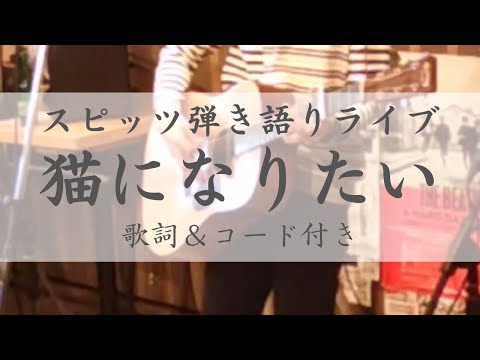 猫になりたい／スピッツ　弾き語りライブ（歌詞付き）　【ギター１本で人気のイントロフレーズを弾く！】