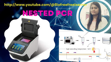 Nested PCR | Principle and uses |