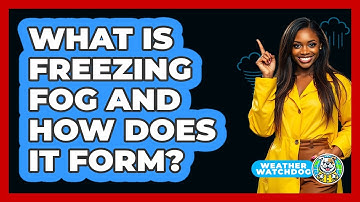 What Is Freezing Fog And How Does It Form? - Weather Watchdog