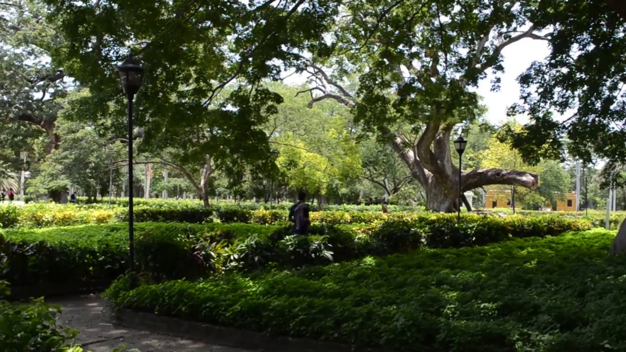 LA Quinta san pedro alejandrino y sus patio YouTube