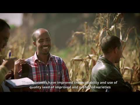 Guiding Sector Transformation: the case of Ethiopia