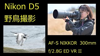 Nikon D5 AF-S NIKKOR 300mm f/2.8G ED VR II ＋ TC-14E III 野鳥撮影