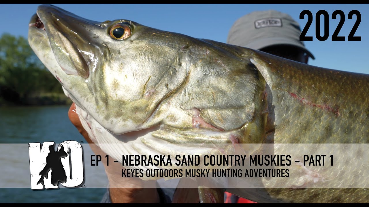 Muskie fishing in Nebraska Nebraska Sand Country Muskies Part 1 KO