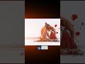😶🌫️✨🫶.||song✨🦚||.#love #song #youtubeshorts #ytshorts #viral