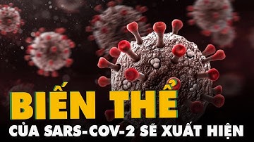 Biến thể hoàn toàn mới của SARS-CoV-2 sẽ xuất hiện vào mùa đông sắp đến?