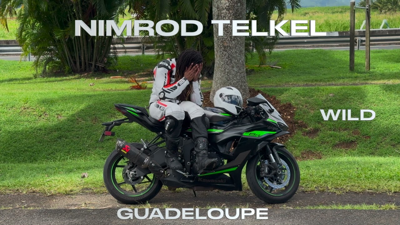 Nimrod Telkel - Wild (Remix Vybz Kartel x Shennsea) DANCEHALL