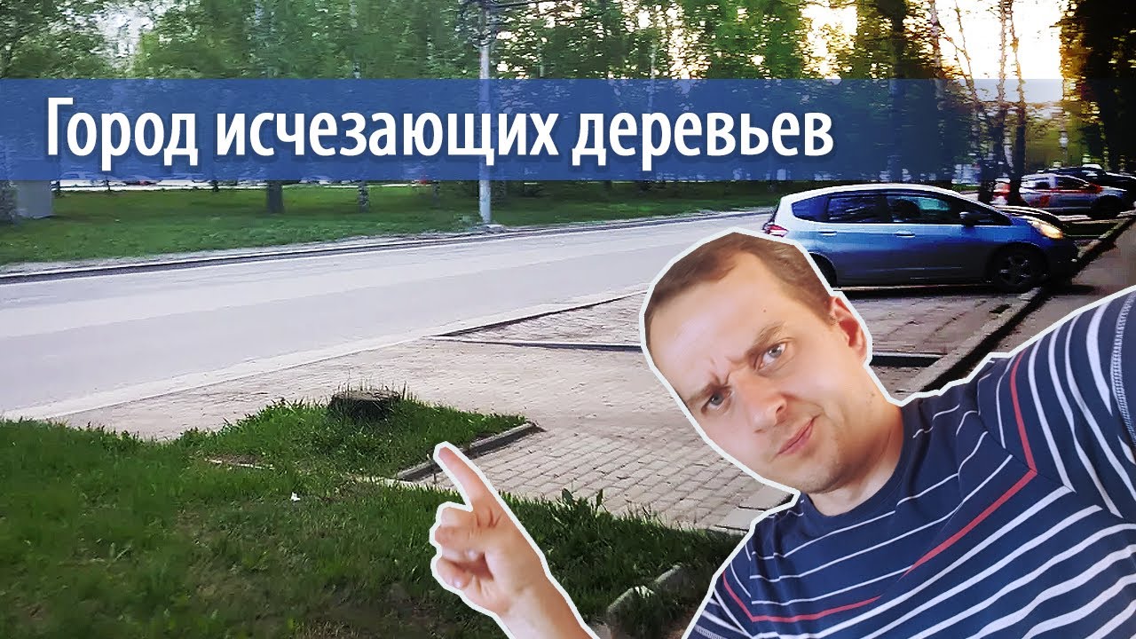 Что происходит с уличными деревьями Екатеринбурга?