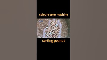 Professional color sorter manufacturer from China #sorter#coloursorting