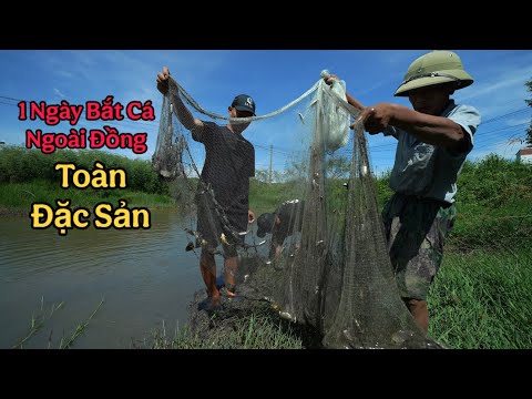 1 Ngày Lang Thang Bắt Cá Ngoài Đồng - Mukbang Toàn Cá Đồng Ngon
