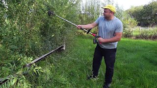 картинка: Осіння обрізка кущів тримером для трави! Зробив паркан сусідам. Класна у нас дача в Польщі.