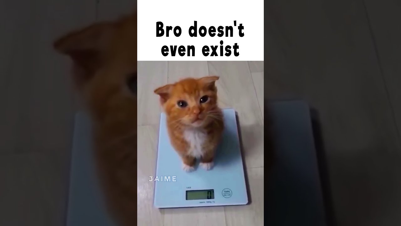 Bro Is 0 Grams 