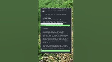 Vim information on using the clipboard (links in description)