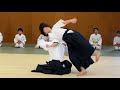 Dynamic and beautiful aikido by aikido shinburenseijuku