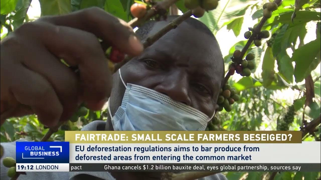 Are African farmers profiting from global agricultural price surges?