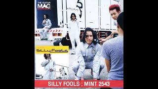 ซิลลี่ ฟูลส์ (Silly Fools) - Mint