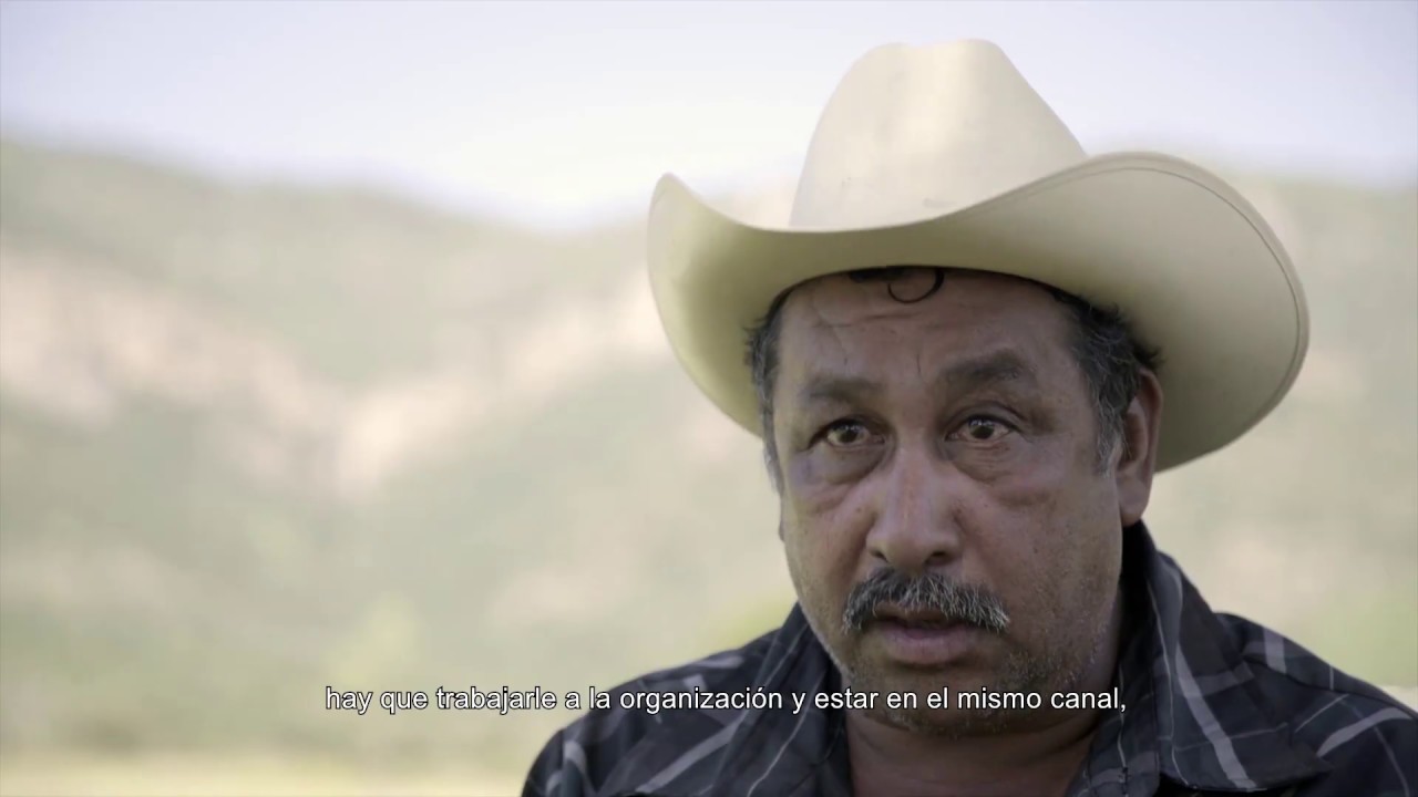 Promocional Palabras con crédito | Hablado en Zapoteco camera iphone 8 plus apk