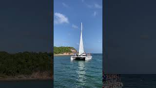 Things to do in St. Thomas: go on a catamaran to swim with sea turtles! #stthomas #virginislands