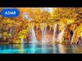 ASMR Music for Relaxation, ASMR Sleep Music, Relaxing Music, ASMR Meditation, Stress Relief, ☯3625