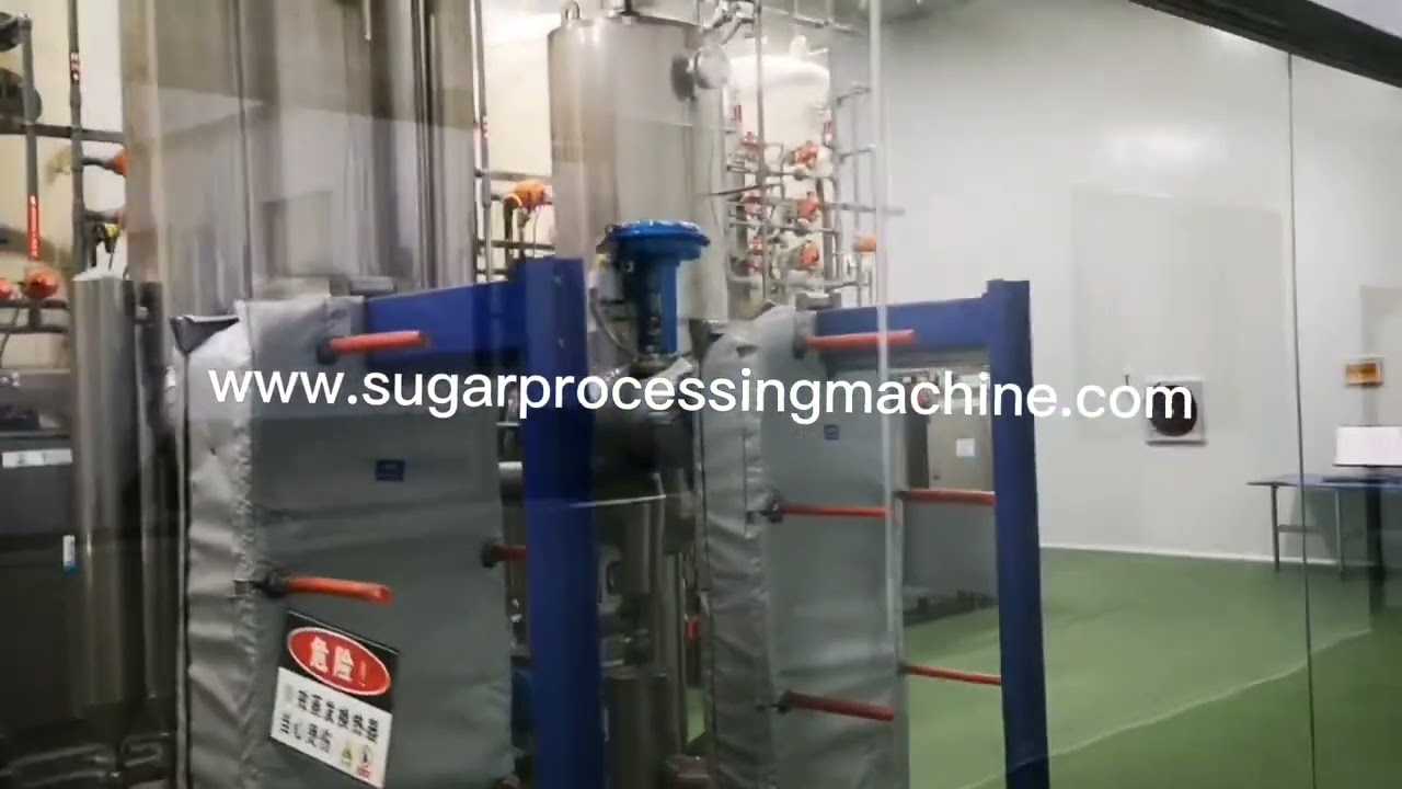 Sugar Syrup decolorization ion exchange resin system cane sugar syrup filter decolorization machine