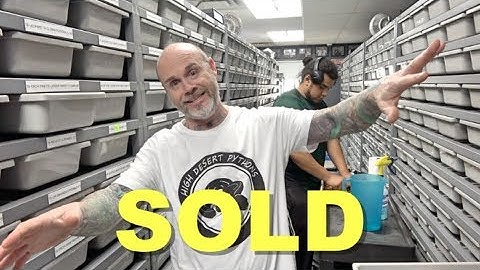 Showing $100,000 Dollars Worth Of Snakes Sold !!