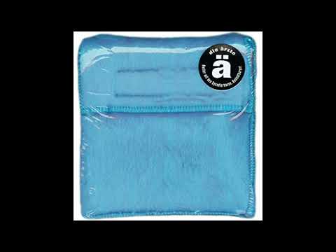 Die Ärzte - Ein Sommer nur für mich [German & English Lyircs]