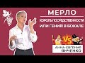 Мерло: покупать или нет? Посредственность или гений?