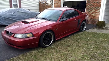 2003 Mustang GT open headers