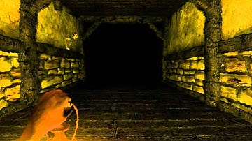 Amnesia Screaming and Crying...