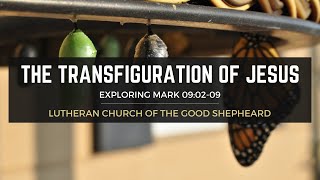The Transfiguration of Jesus - Mark 09:02-09 NRSV - LCGS Online Bible Service - 02-11-24