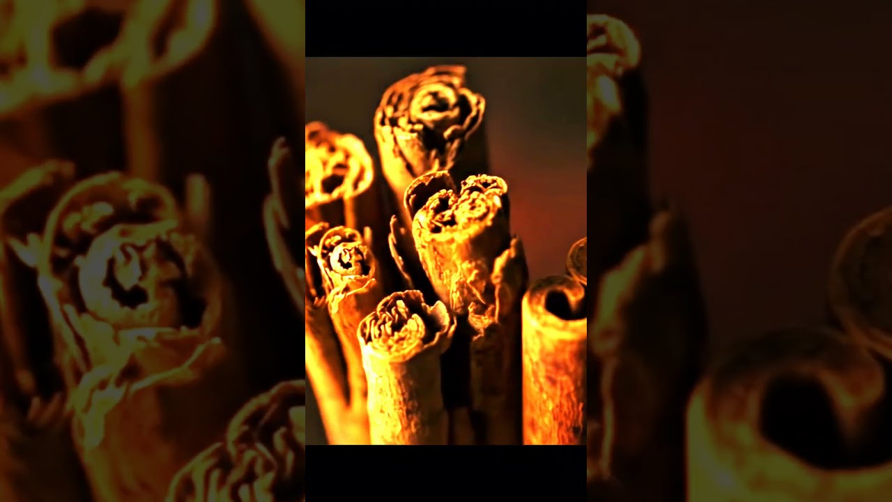 The Lion S Club Monarque De Armaf Joya Oriental Vainill Inspirada En Parfums Marly Althair