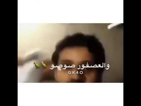 كل زق