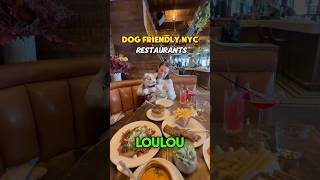 Famous Dog Friendly NYC Restaurant LouLou Profile