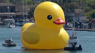 Did you know  | The world's largest rubber duck