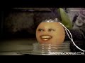 柳丁擱來亂之奪魂鋸 annoying orange saw