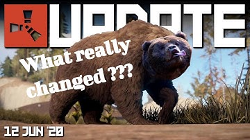 THE REAL RUST ANIMAL UPDATE