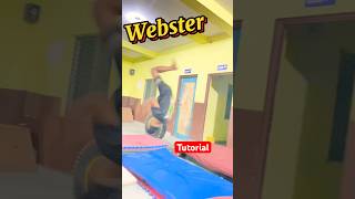 Webster tutorial | how to kill webster | how to do Webster | how to do Webster #webster #flip