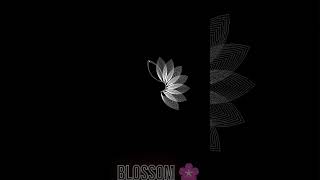Mesmerizing Colorful white flower 🌸 Design | Turtle Graphics Python Art #python #coding #turtle