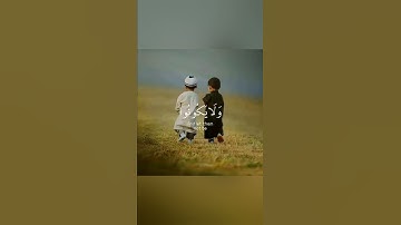 مقطع يلامــس القلب بصوت جميل جدا طارق محمد 💭💗 حالات واتس أب قران كريم ♥️🎧 Quran status