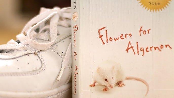 Flowers For Algernon By Daniel Keyes