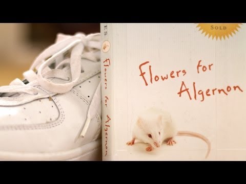 Vidéo: Quelle est la symbolique dans Flowers for Algernon ?