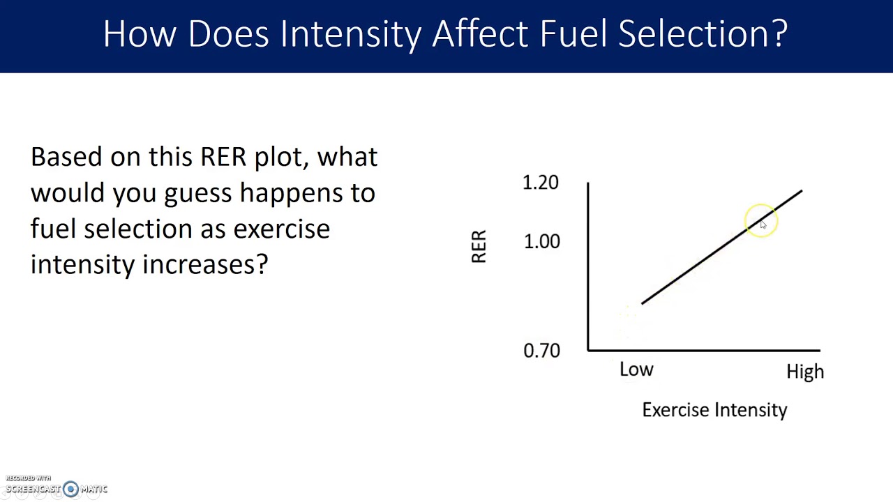 Chapter 4 Exercise Metabolism Fuel Utilization Part 1 YouTube