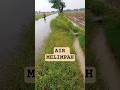 Air Sedang Melimpah di Sawah