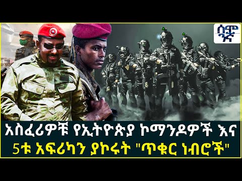 ቪዲዮ: የሩሲያ ወታደሮች ታላቅ ጀብዱዎች። የሩሲያ ወታደሮች እና መኮንኖች ብዝበዛ