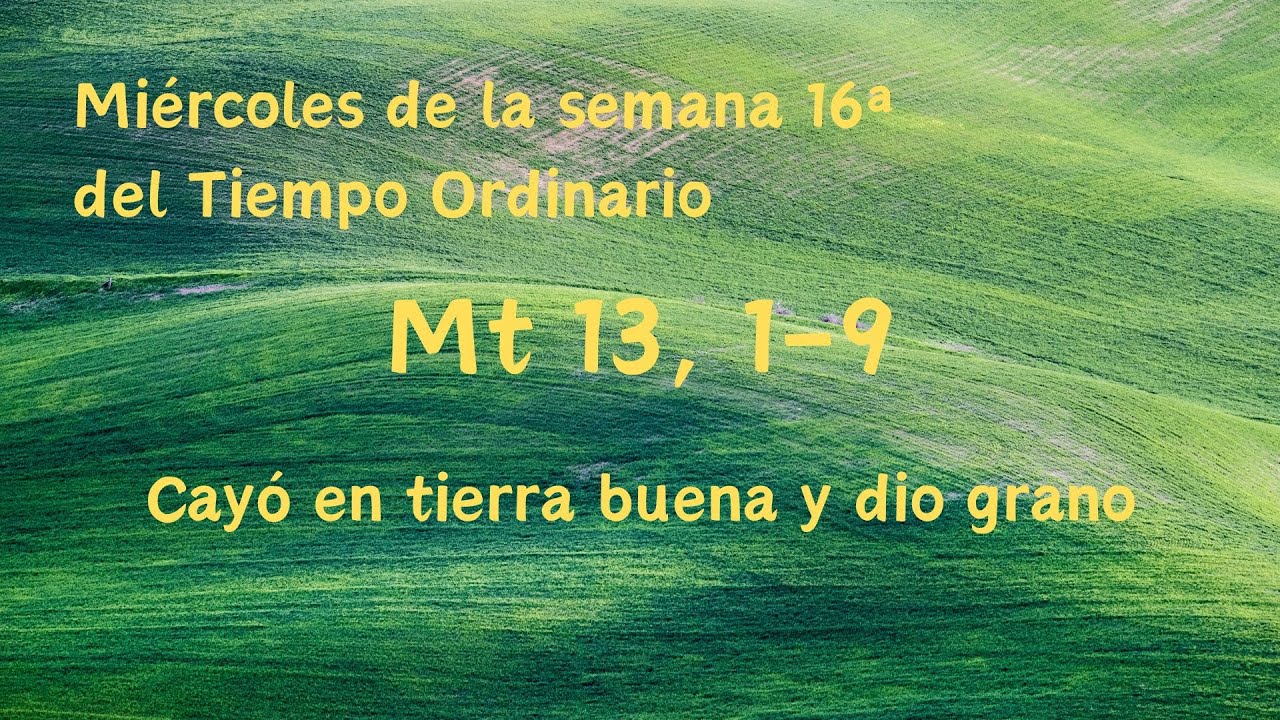 Mt 13 1 9 Cay En Tierra Buena Y Dio Grano Mi rcoles Semana 16 Del mt-13-1-9-cay-en-tierra-buena-y-dio-grano-mi-rcoles-semana-16-del