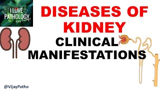 RENAL PATHOLOGY Part 1 : Clinical Manifestations.