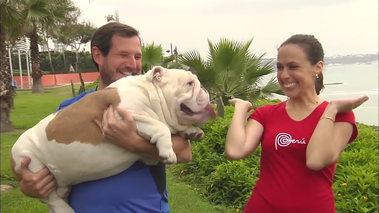 EDV1 Jonathan De Mary TP: "Video Viral"