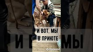 Бросили на верную  смерть