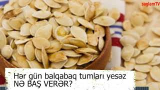 HER GUN BALQABAQ TUMLARI YESƏZ NƏ BAŞ VERƏR?   MÜTLƏQ İZLƏYİN. SAGLAMTV